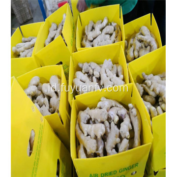 200g top jual jahe kering udara